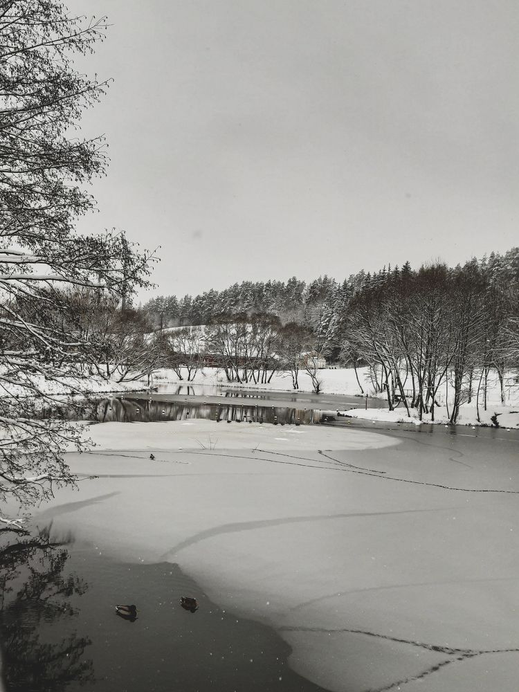 Photograph by Александра Кропивка