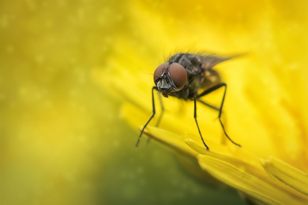 Photograph by Марина Хилько