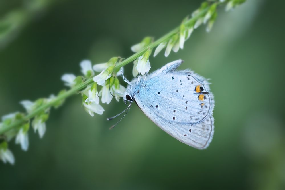 Photograph by Марина Хилько
