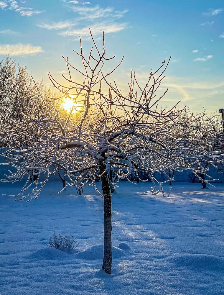 Photograph by Марина Нагичева
