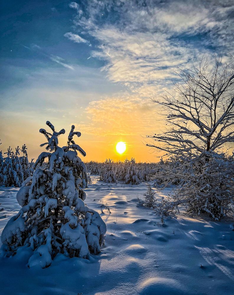 Photograph by Марина Нагичева