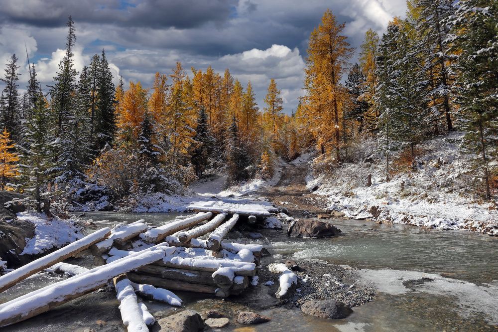 Photograph by Галина Хвостенко