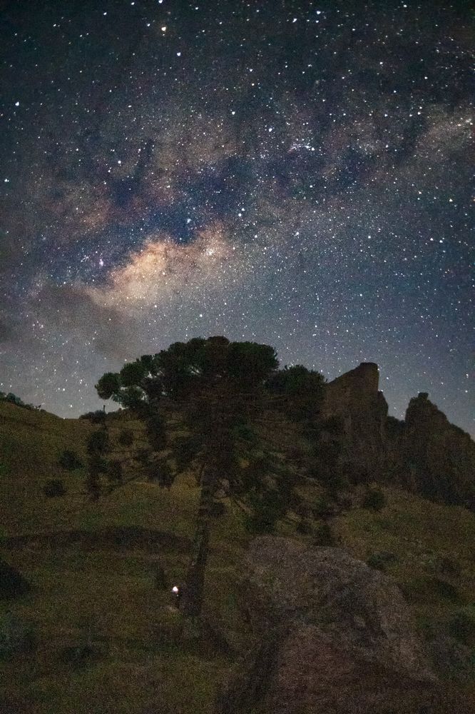 Фотография автора Cláudia Maria Fialho Garcia