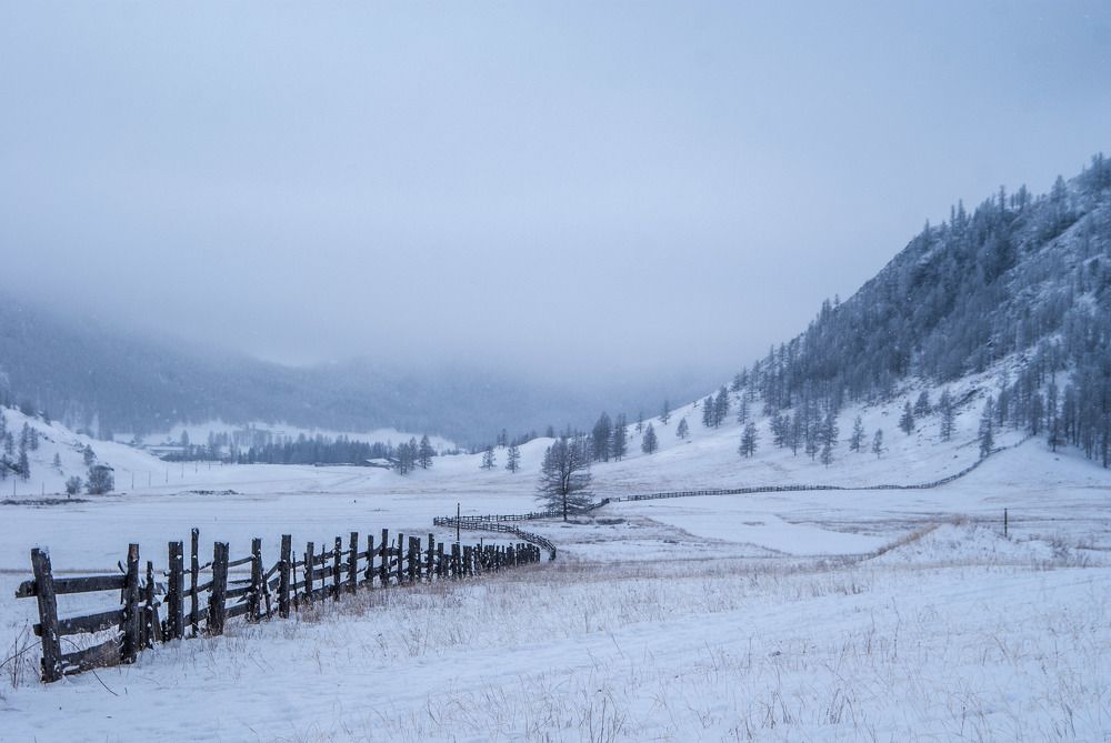 Photo #6986027