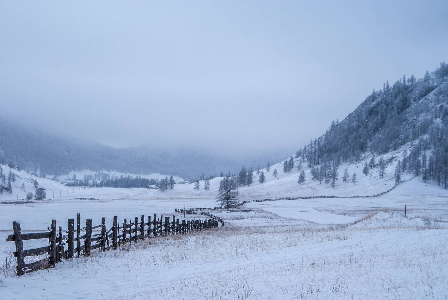 Photo #6986027