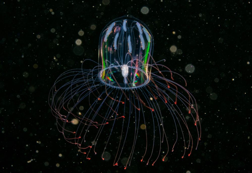 Photograph by Алексей Миролюбов