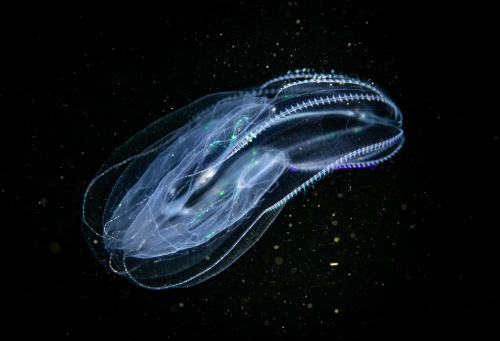 Photograph by Алексей Миролюбов