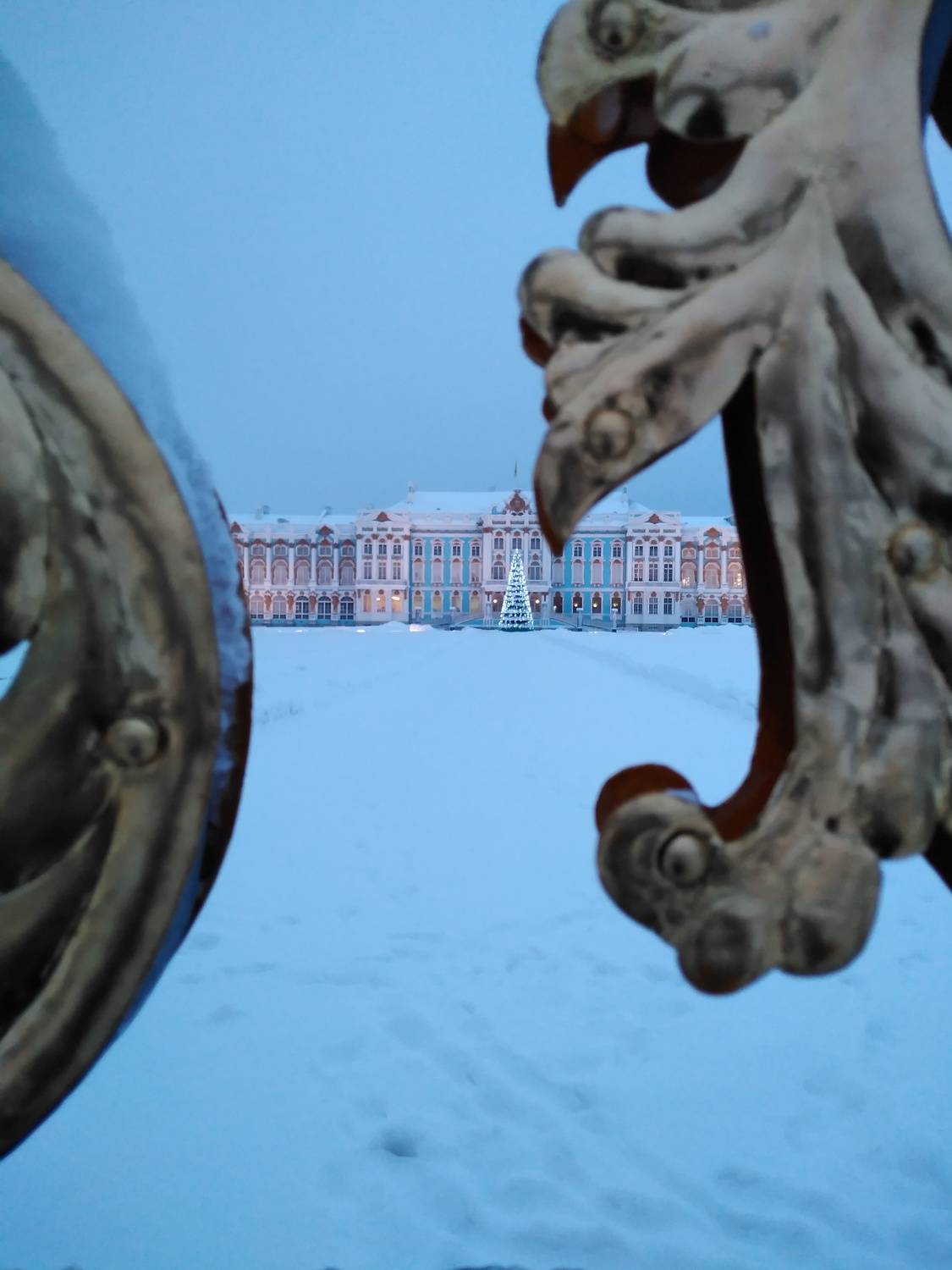 Photo #6986063