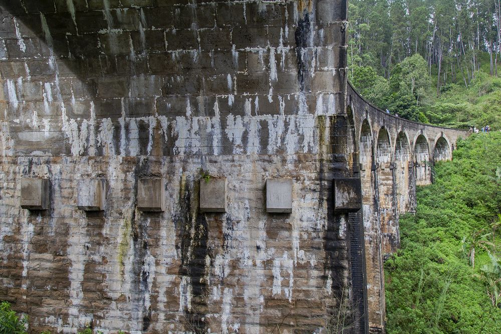 Фотография автора Laddu Sasindu Pramuditha De Silva
