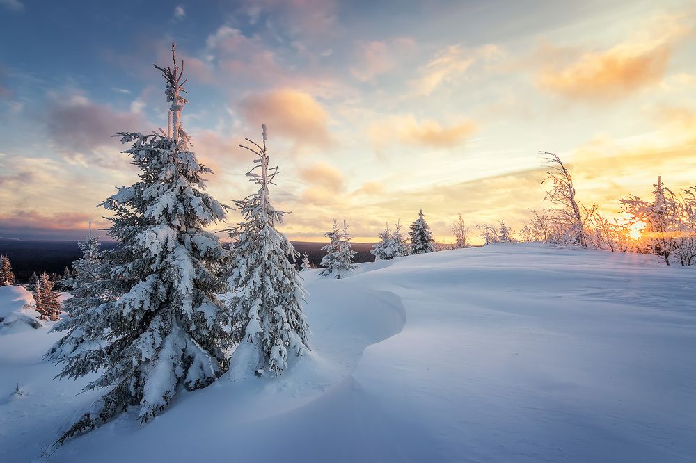 Photograph by Антон Кошетаров