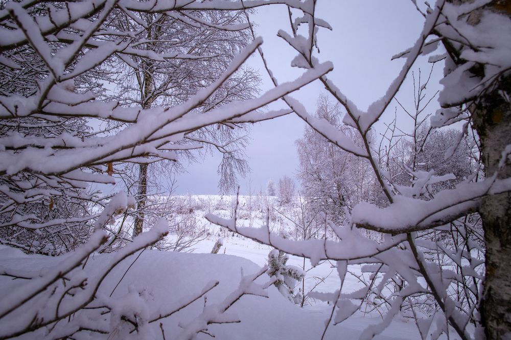 Photograph by Ангелина Старцева