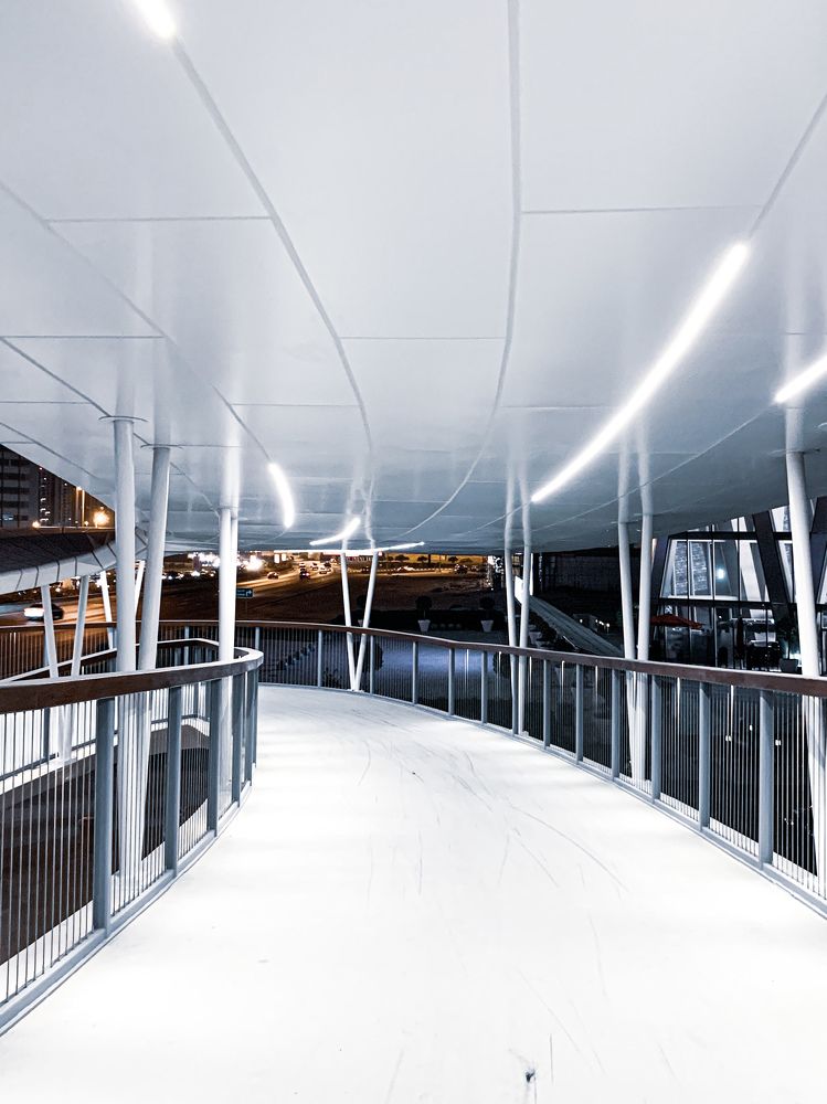 Photograph by Ahmed zaki