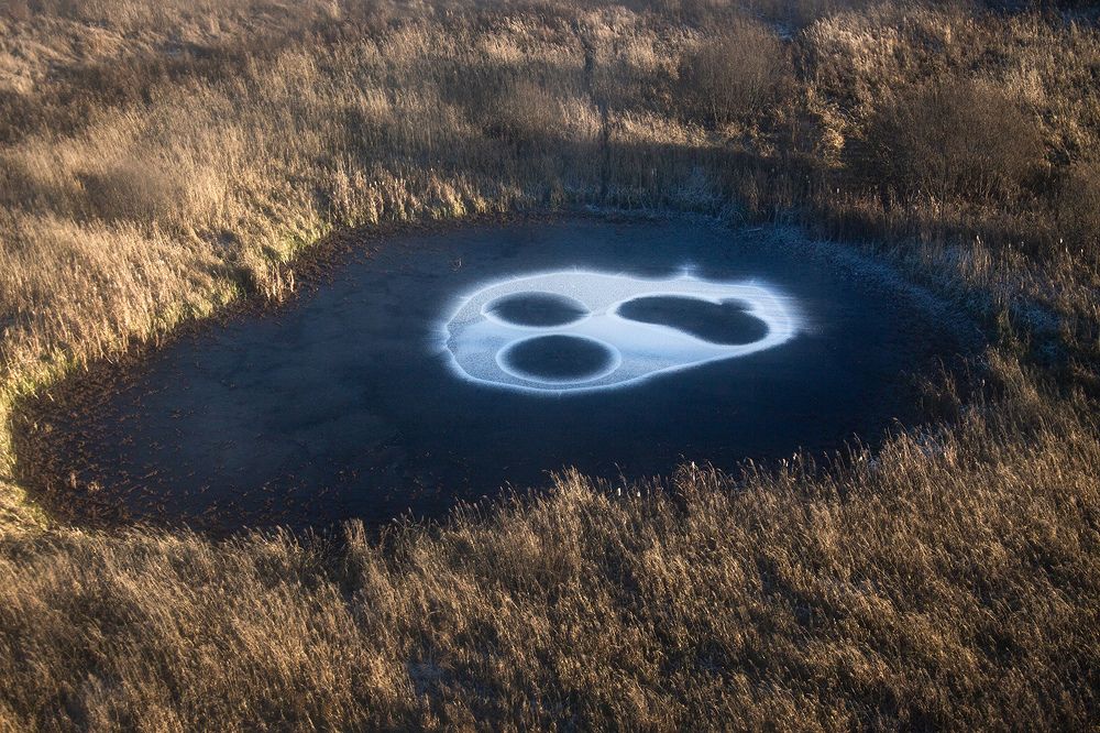 Фотография автора Денис Макаренко