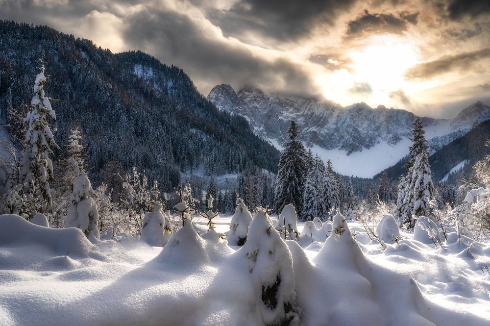 Photograph by Liviu Ciprian Hiticas