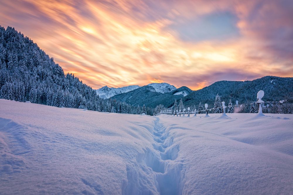 Фотография автора Liviu Ciprian Hiticas
