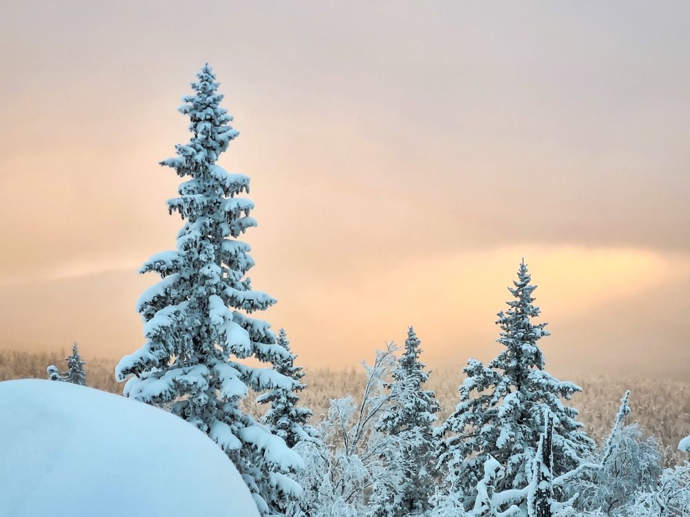 Photograph by Андрей Баталов