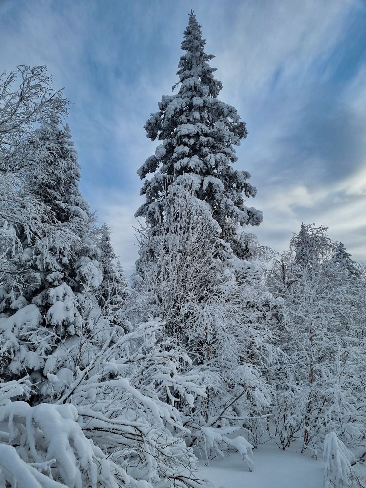 Photograph by Андрей Баталов