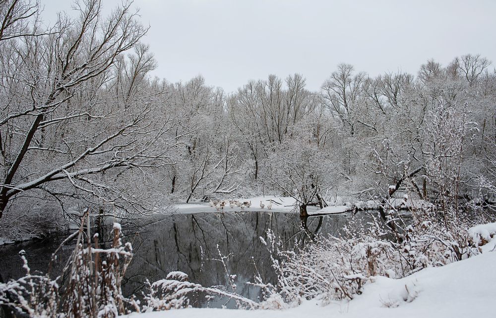 Photograph by Михаил Фенелонов