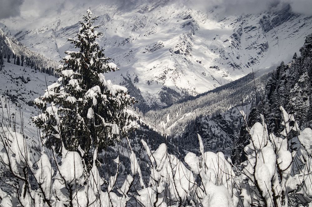 Photograph by Nadezhda Zhitkova