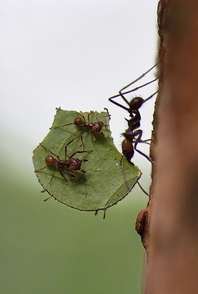 Photograph by Morring David