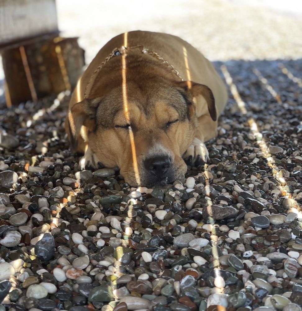 Photograph by Маргарита Венсил.