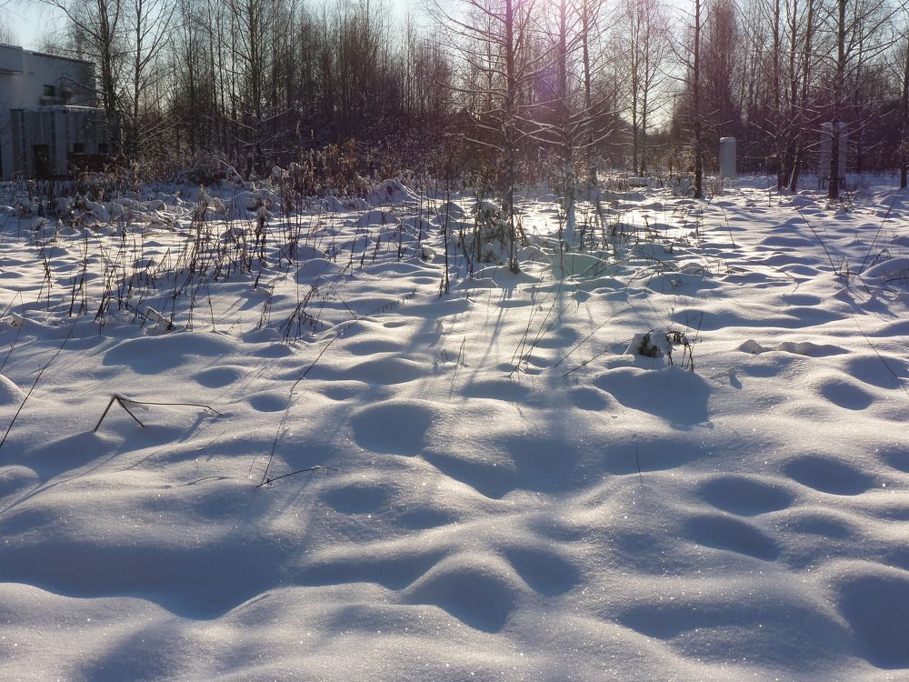 Photo #6986454