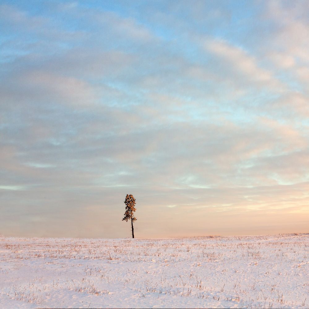 Photograph by Фотов Ренат