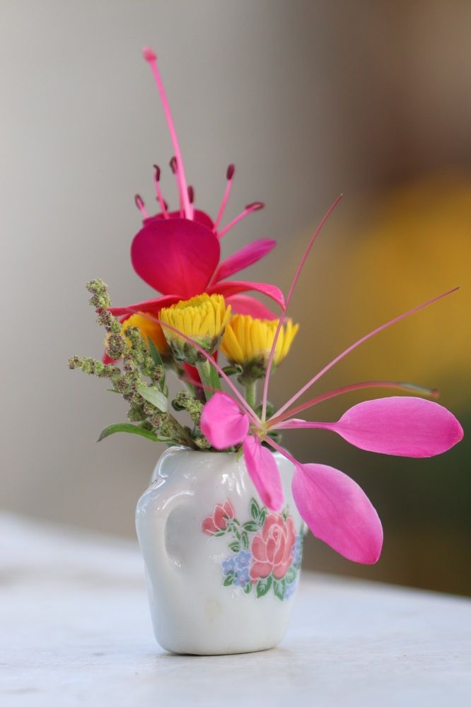 Photograph by Alexandr Tulinov