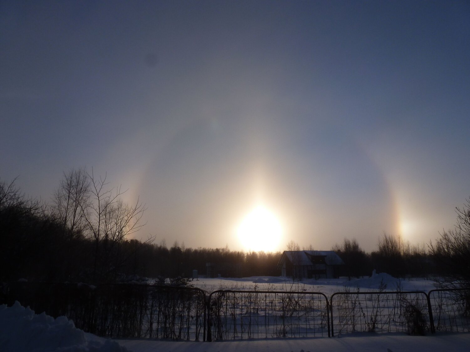 Photo #6986472