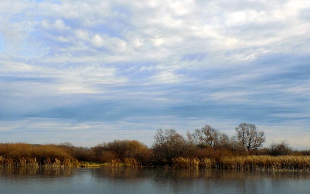 Photograph by Сергей Рудаков