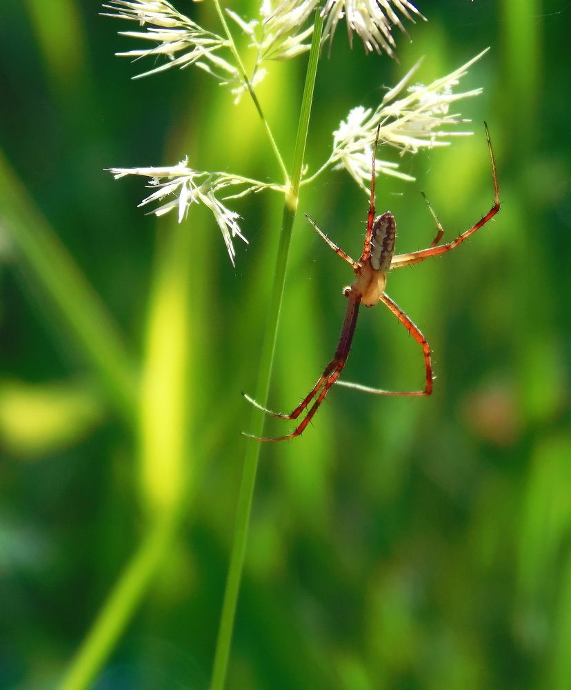 Photograph by Надежда Батракова