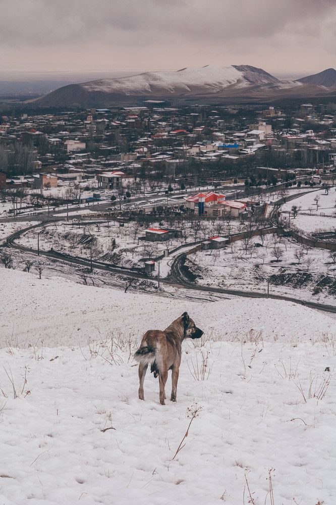 Photograph by javad abolhassani