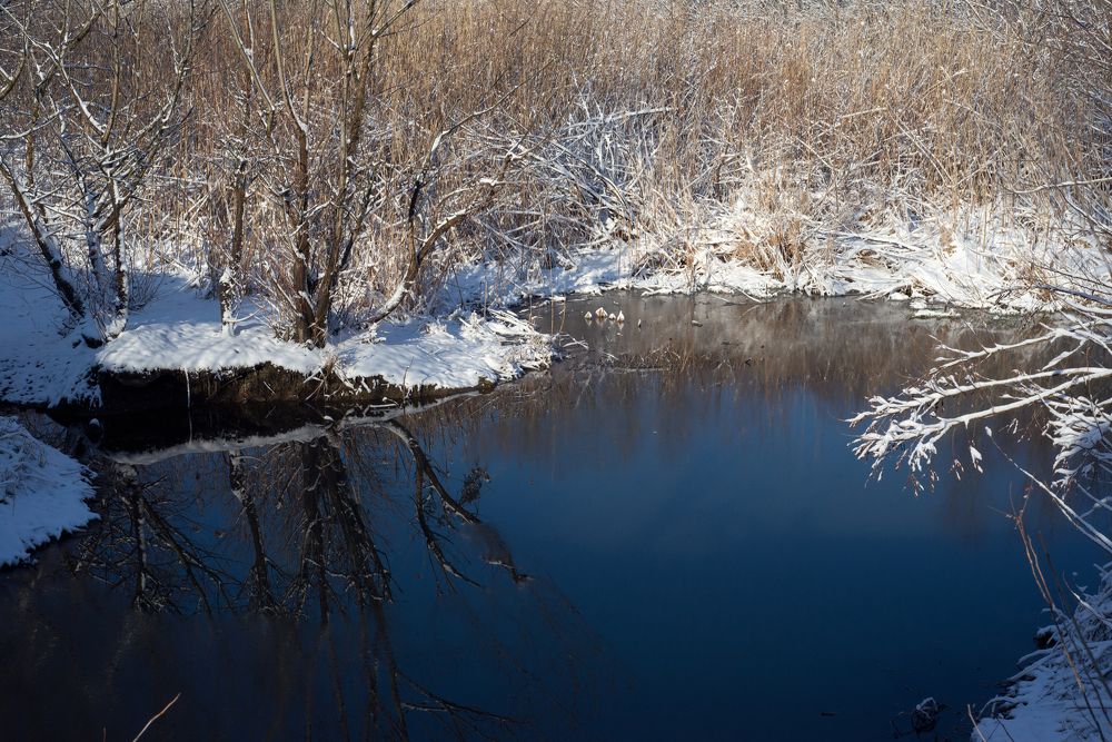Photograph by Светлана Лебеденко