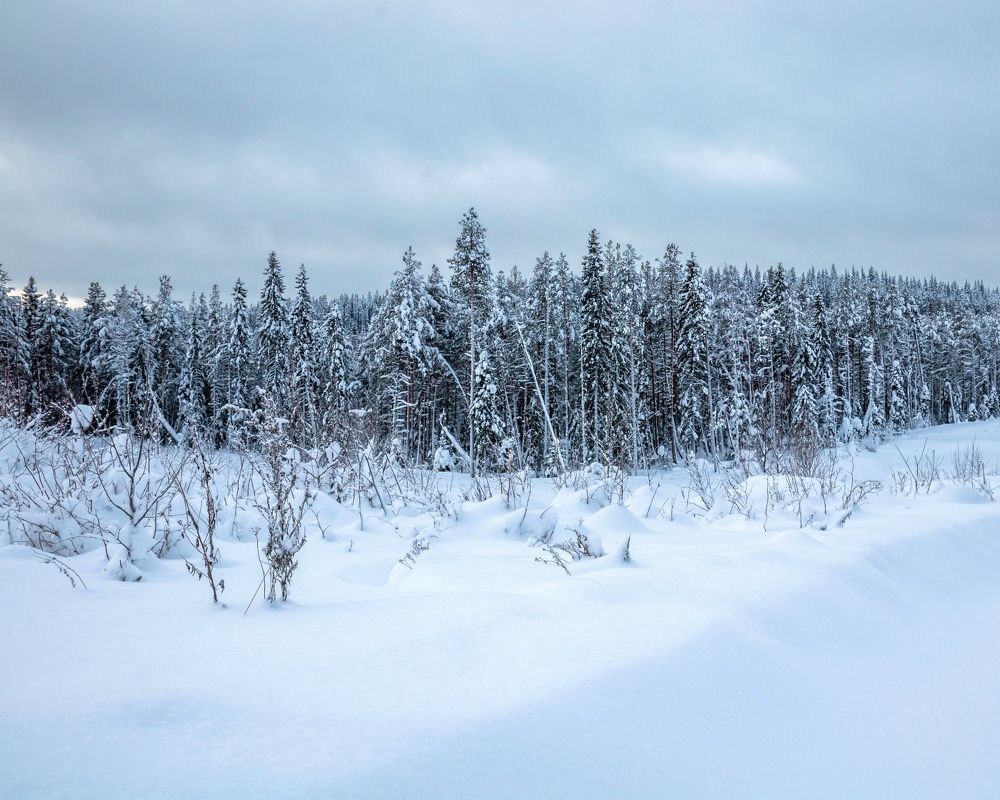 Photograph by Титов Александр