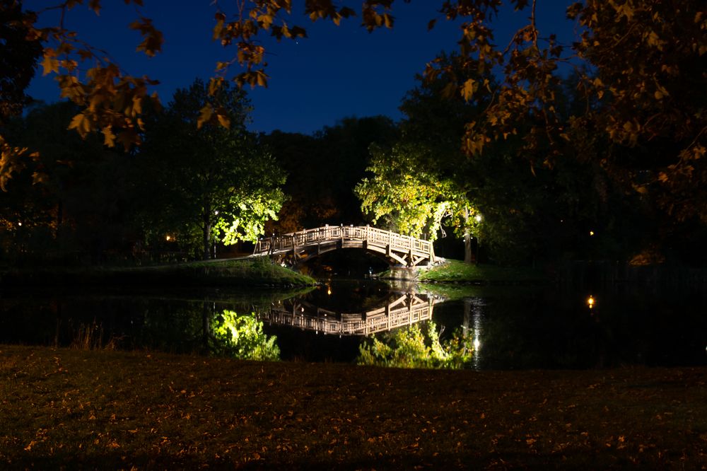 Photograph by Tobias Dittfach