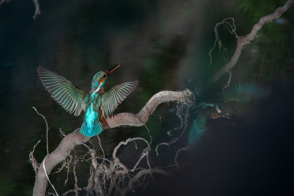 Photograph by Антон Лобачёв