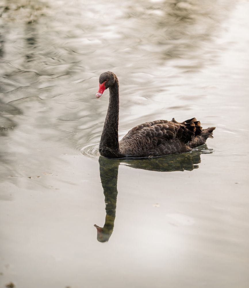 Photograph by Татьяна Мазепова