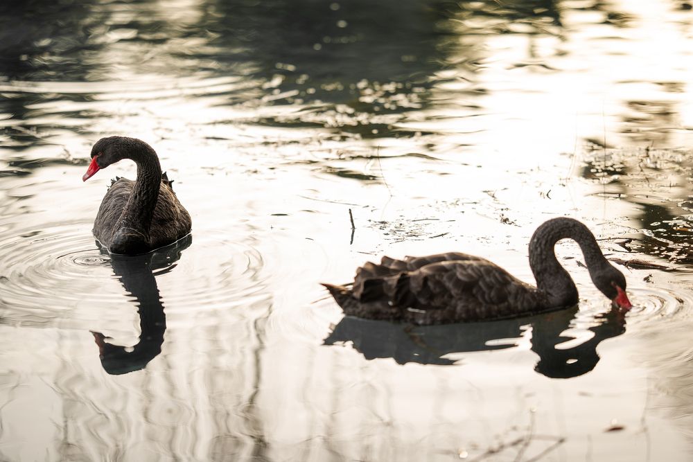 Photograph by Татьяна Мазепова