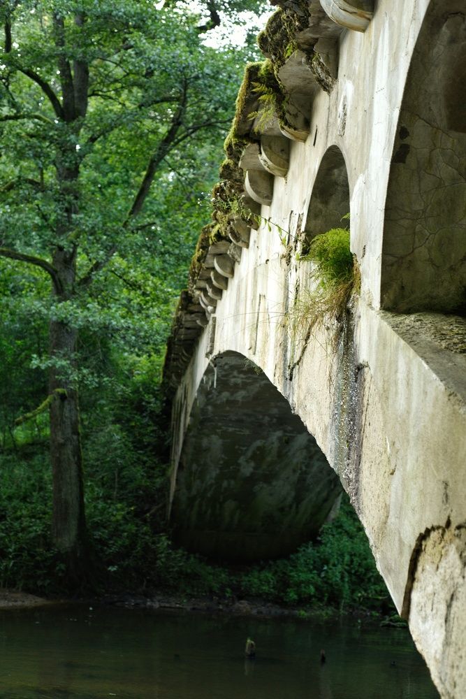 Photograph by Владимир Леликов-Кузьменко