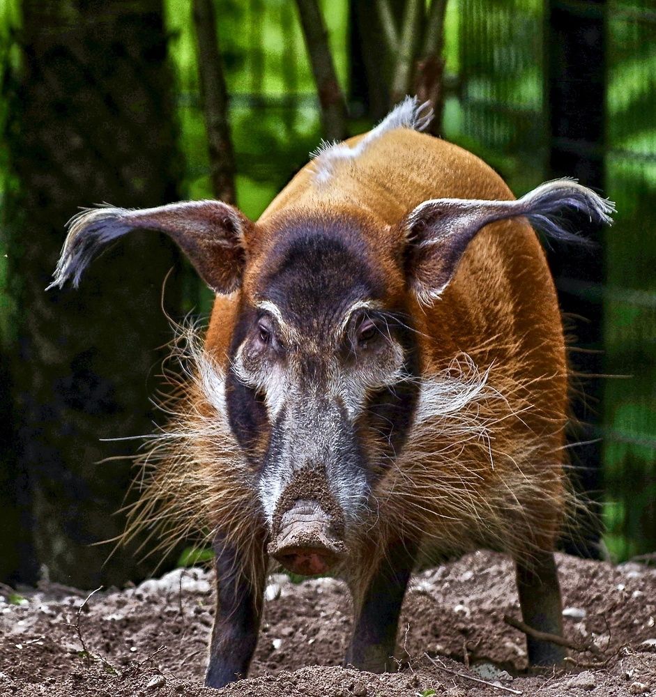 Photograph by advokatkijashko