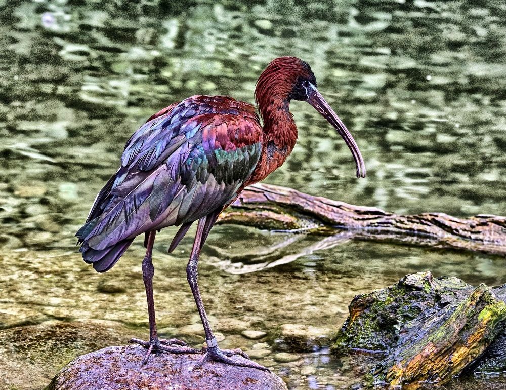 Photograph by advokatkijashko