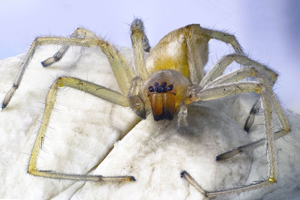 Photograph by Тарас Иванов