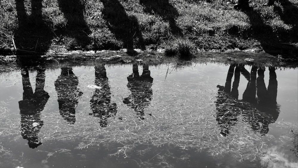 Photograph by Gizela Halászová