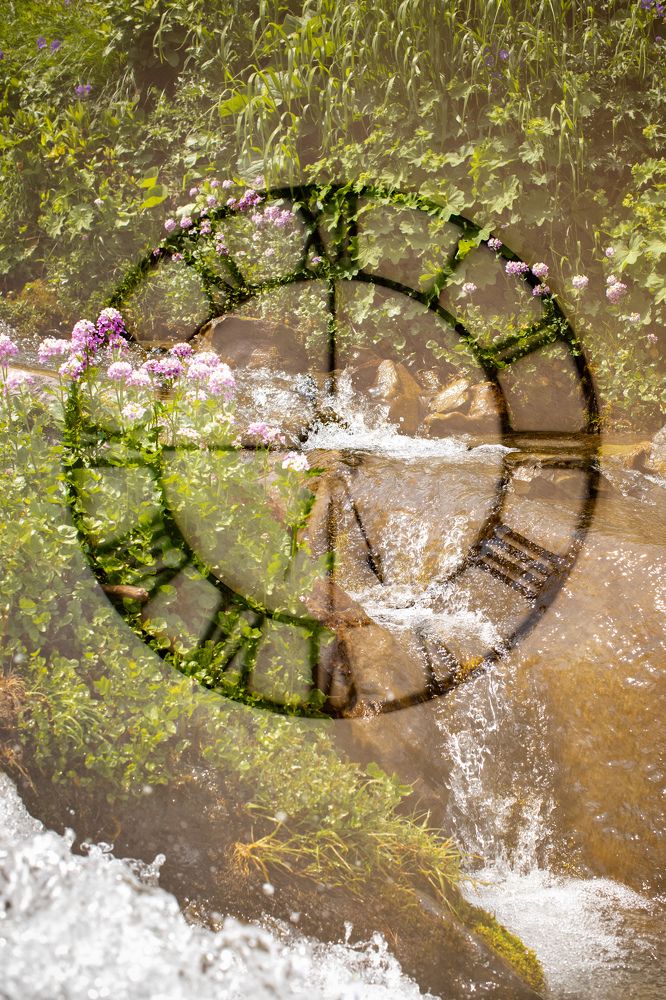 Фотография автора Мария Сурмачева