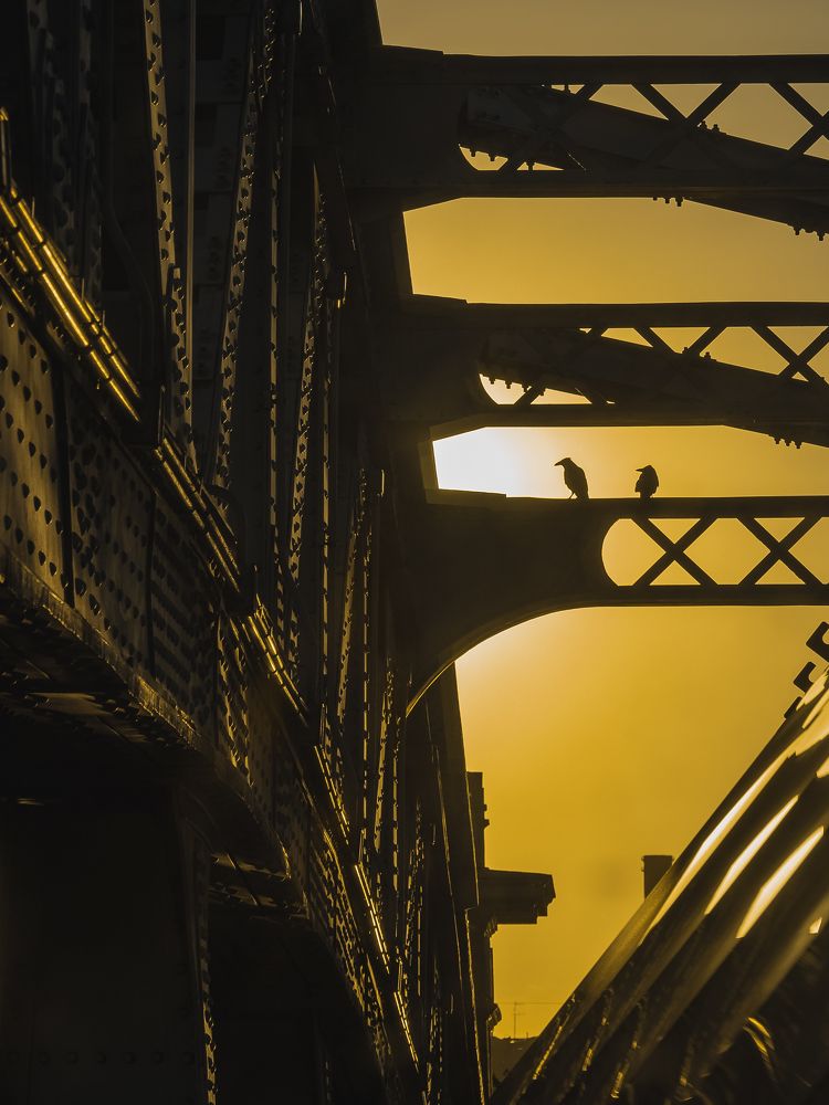 Пушкинский (Андреевский) мост на закате, Москва, Россия. Июнь 2021. Pushkin (Andreevsky) Bridge at sunset, Moscow, Russia. June 2021.