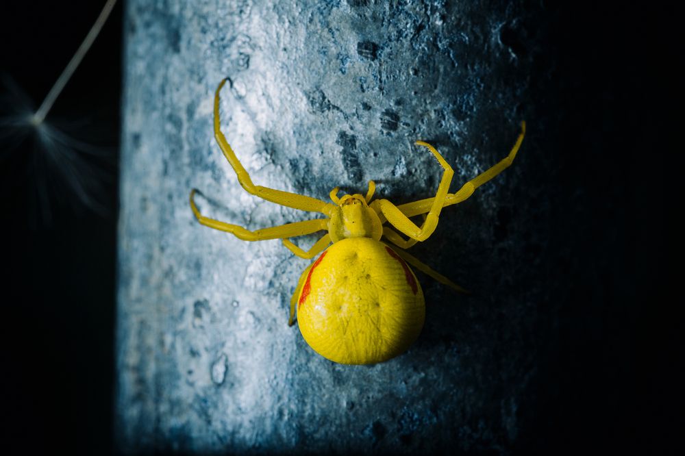 Photograph by Алексей Лунин