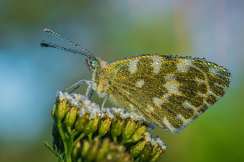 Фотография автора Роман Зайцев