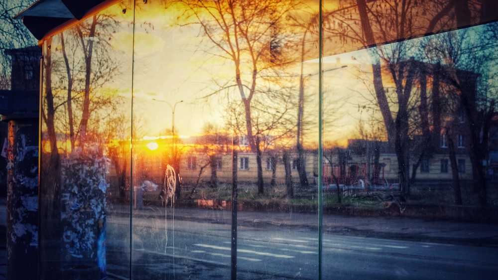 Фотография автора Светлана Груньковская