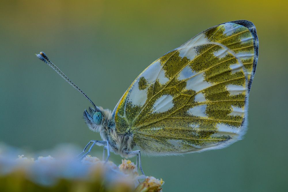 Фотография автора Роман Зайцев