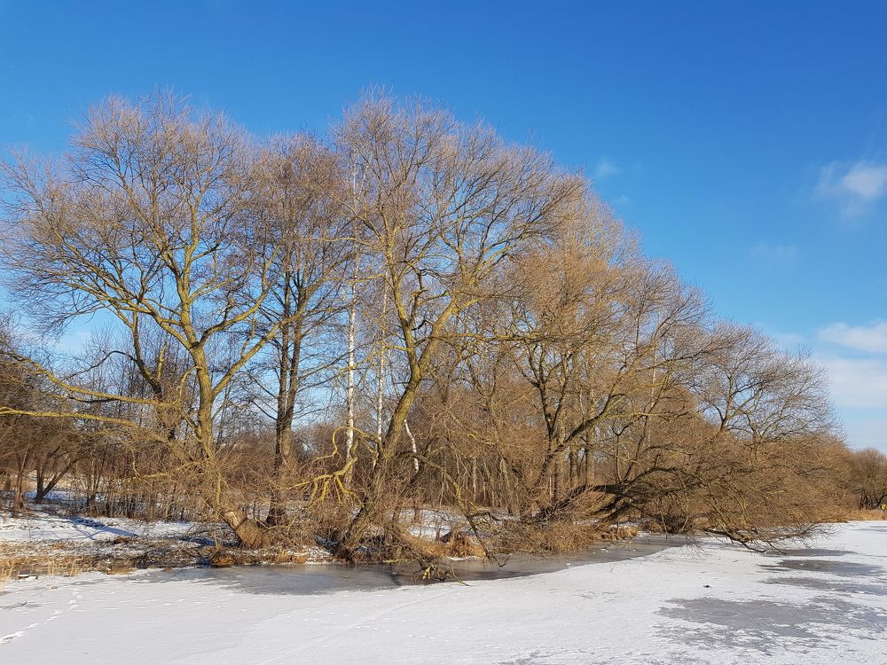 Photograph by Vital Moravsky